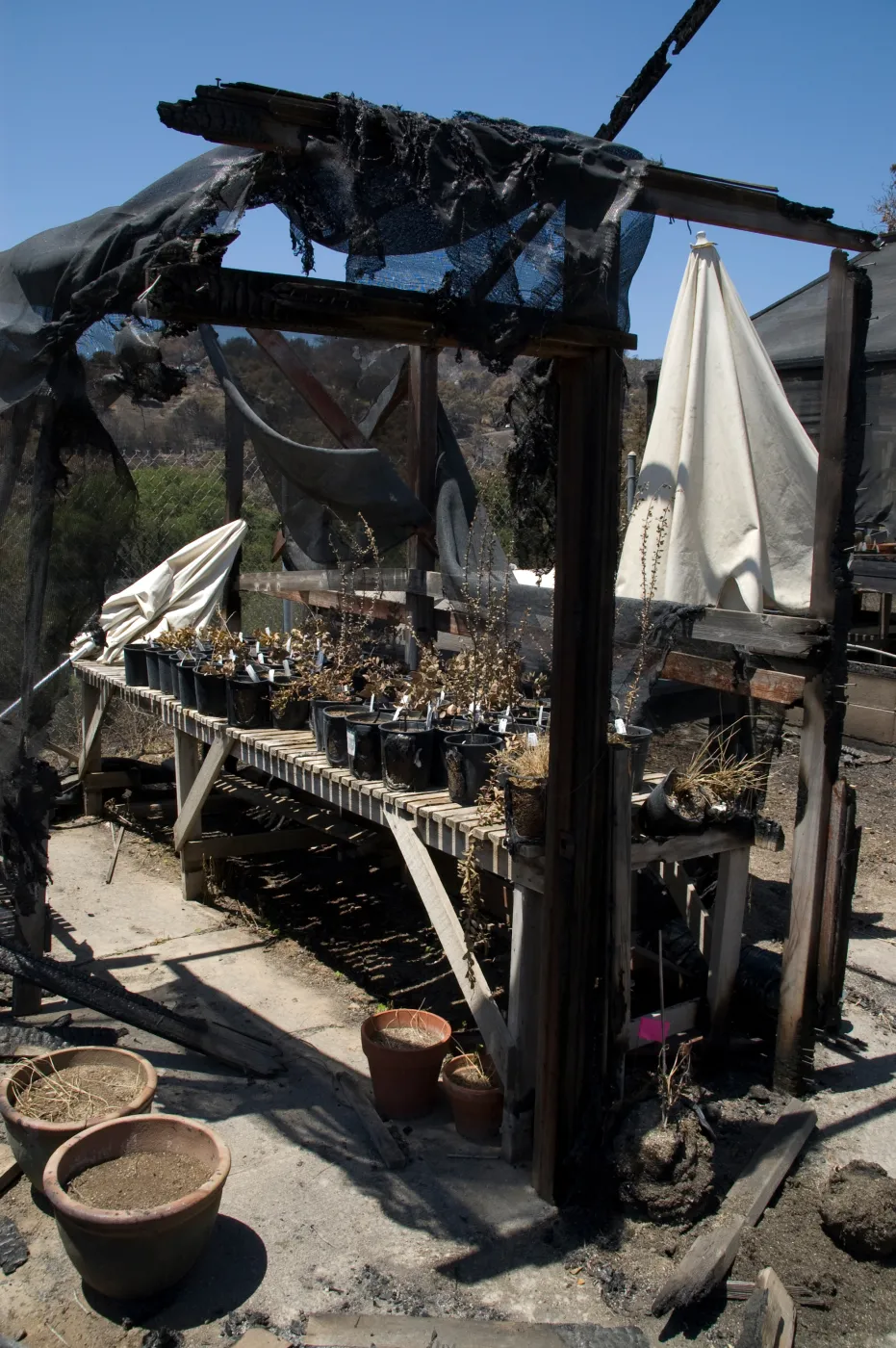 wood bench and potted plants remain in the burned out lath house, after the Jesusita Fire