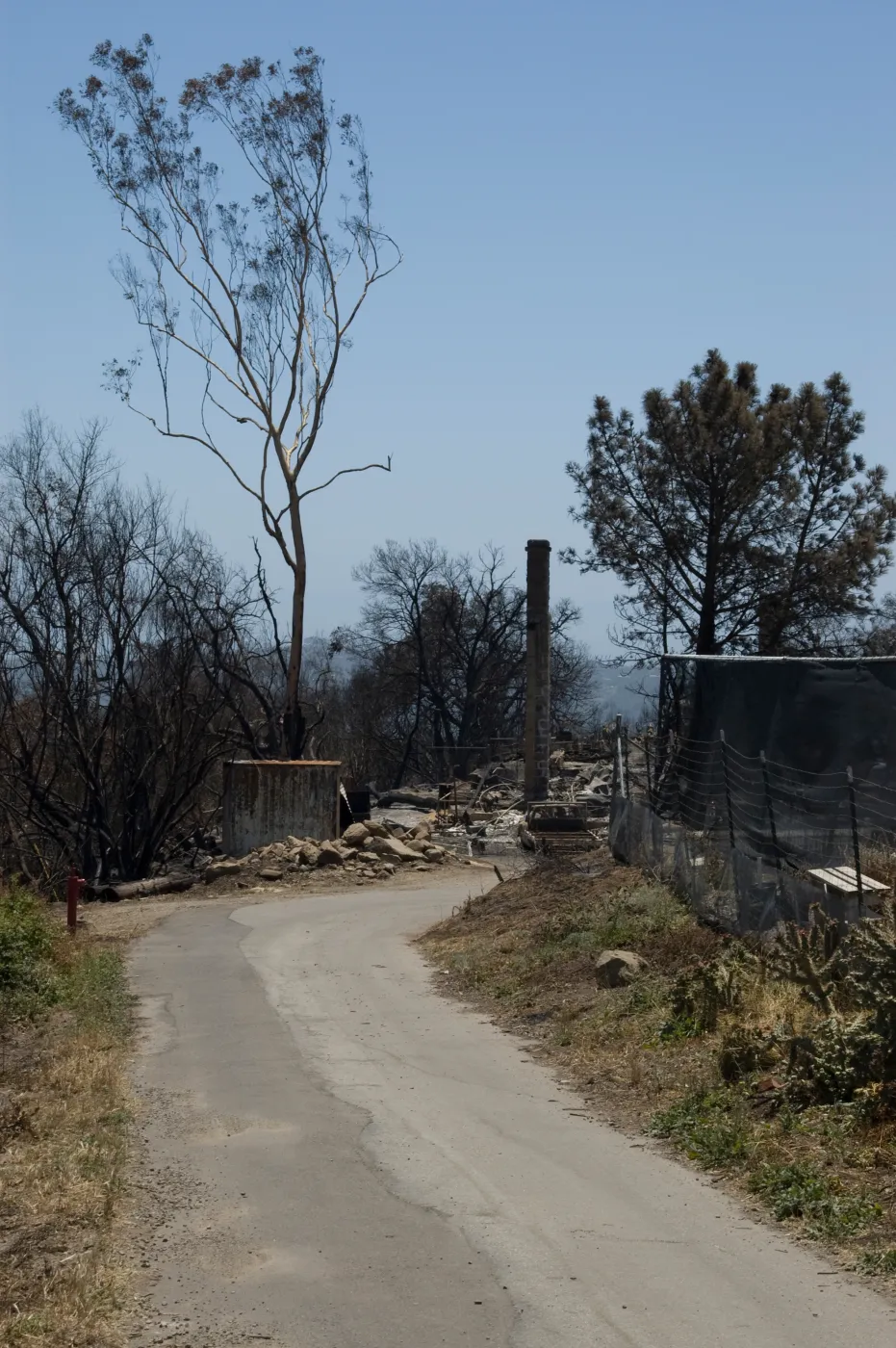 Gane House site, after the Jesusita Fire