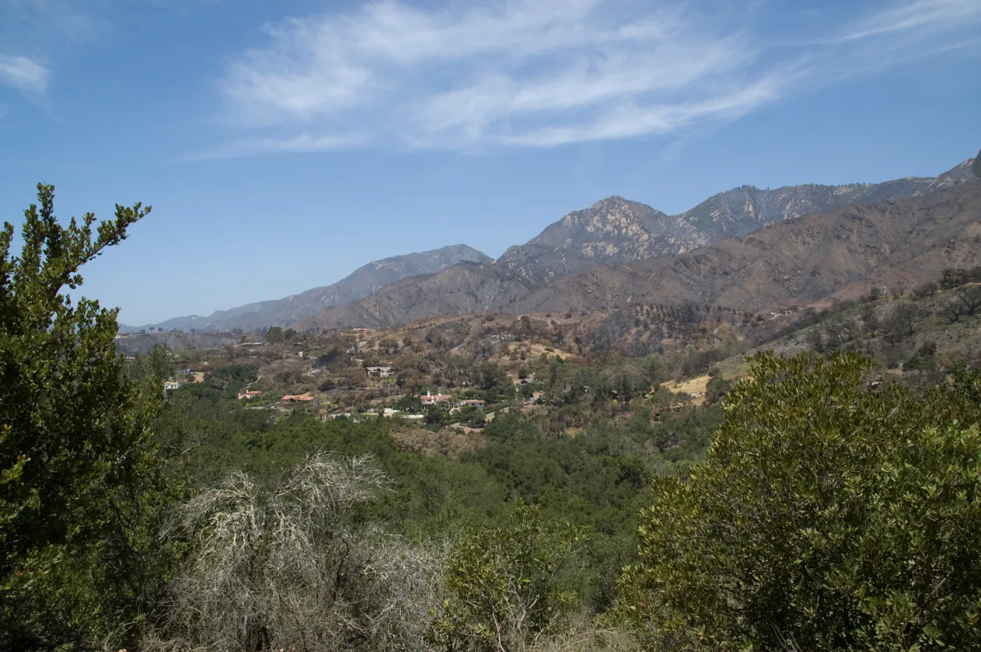 view from Las Canoas, near Skofield Park, view back to Mission Canyon, after the Jesusita Fire