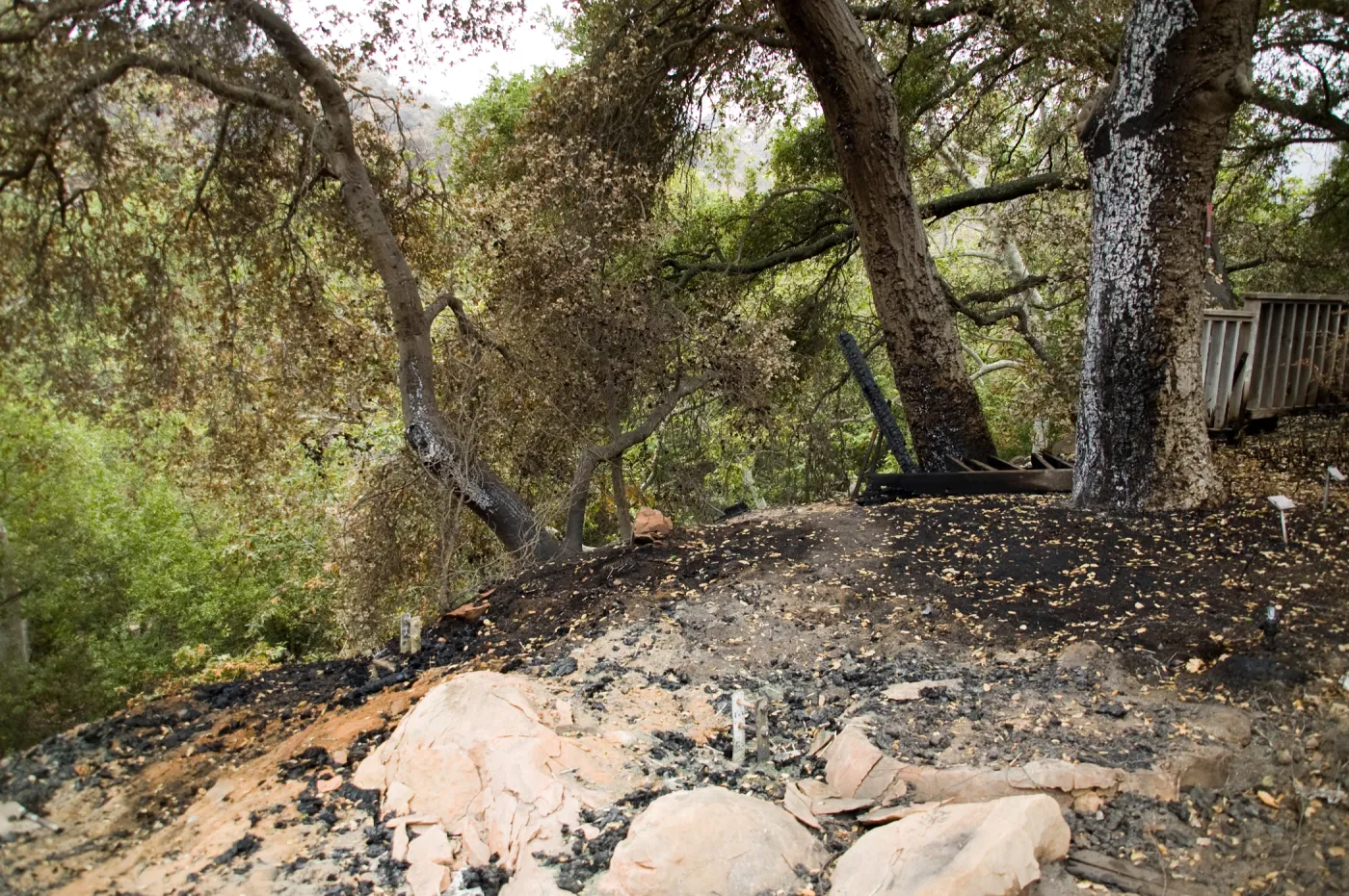 Home Deomnstarion Deck, after the Jesusita Fire