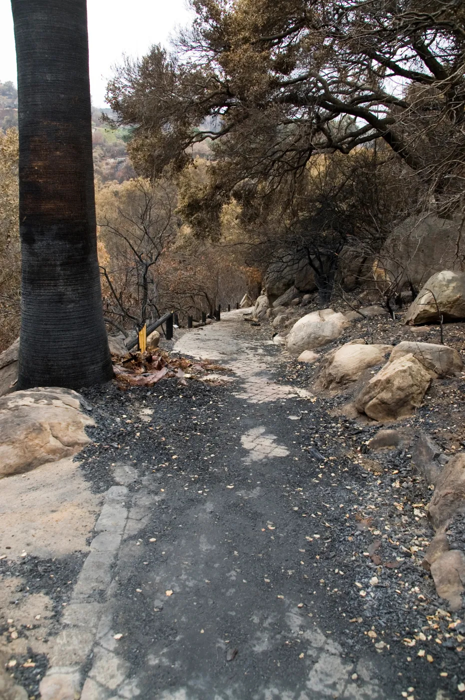 top of Campbell Trail, after the Jesusita Fire