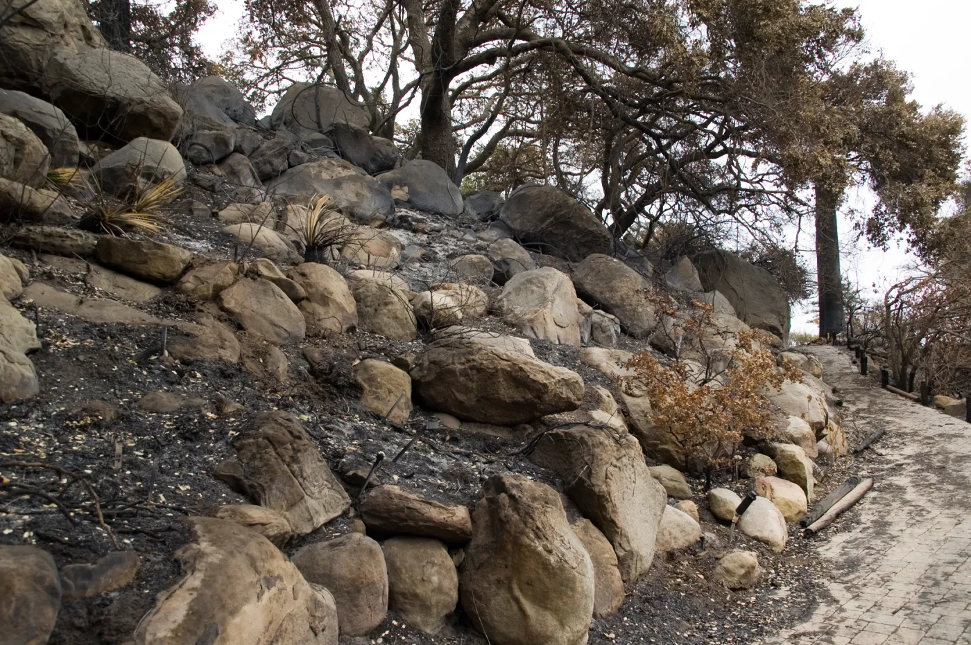 Campbell Trail, after the Jesusita Fire