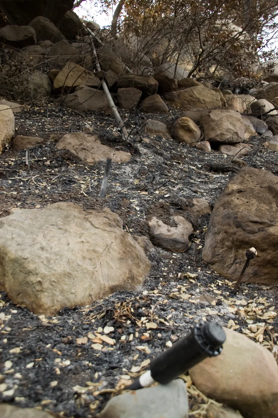 burned irrigation and melted plant tags, after the Jesusita Fire