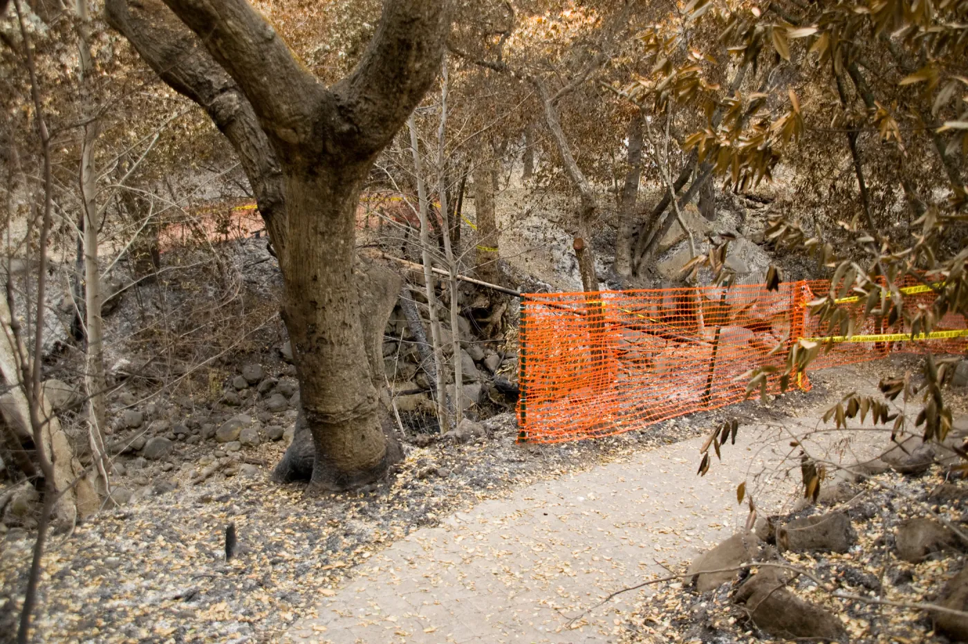 Campbell Bridge site, after the Jesusita Fire