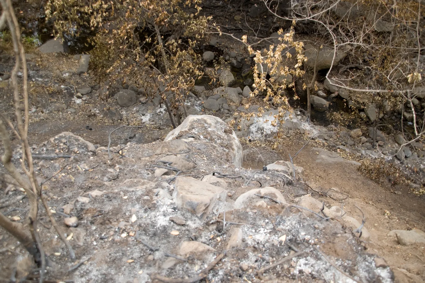 Mission Creek, after the Jesusita Fire