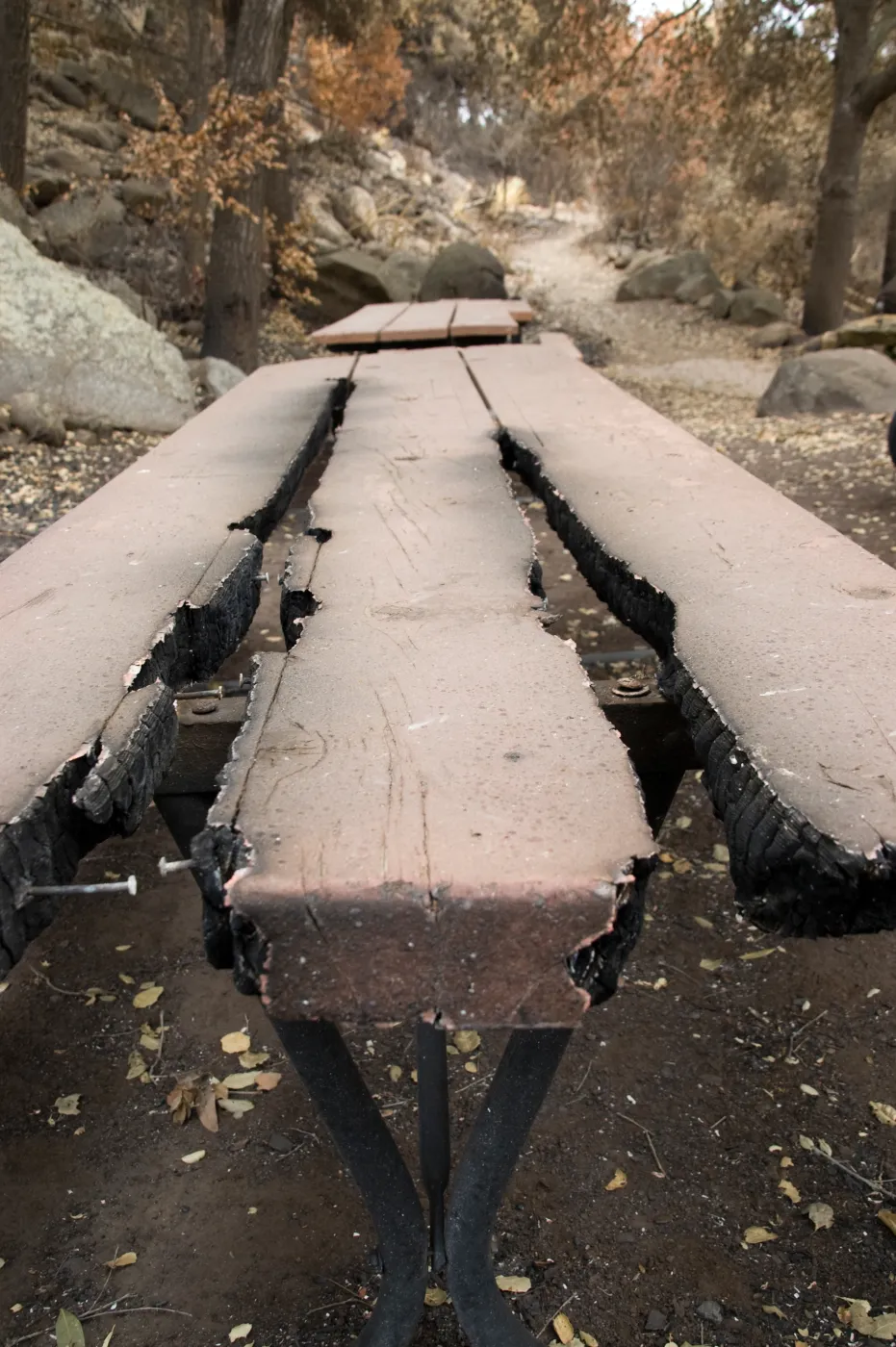 burned picnic table, after the Jesusita Fire