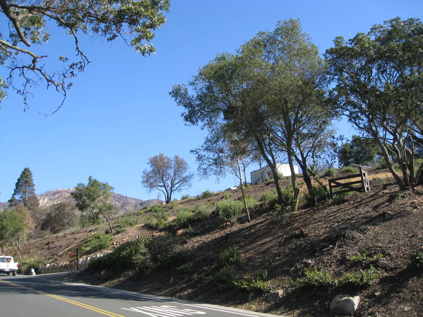 Clearing along Mission Canyon Rd after Jesusita Fire
