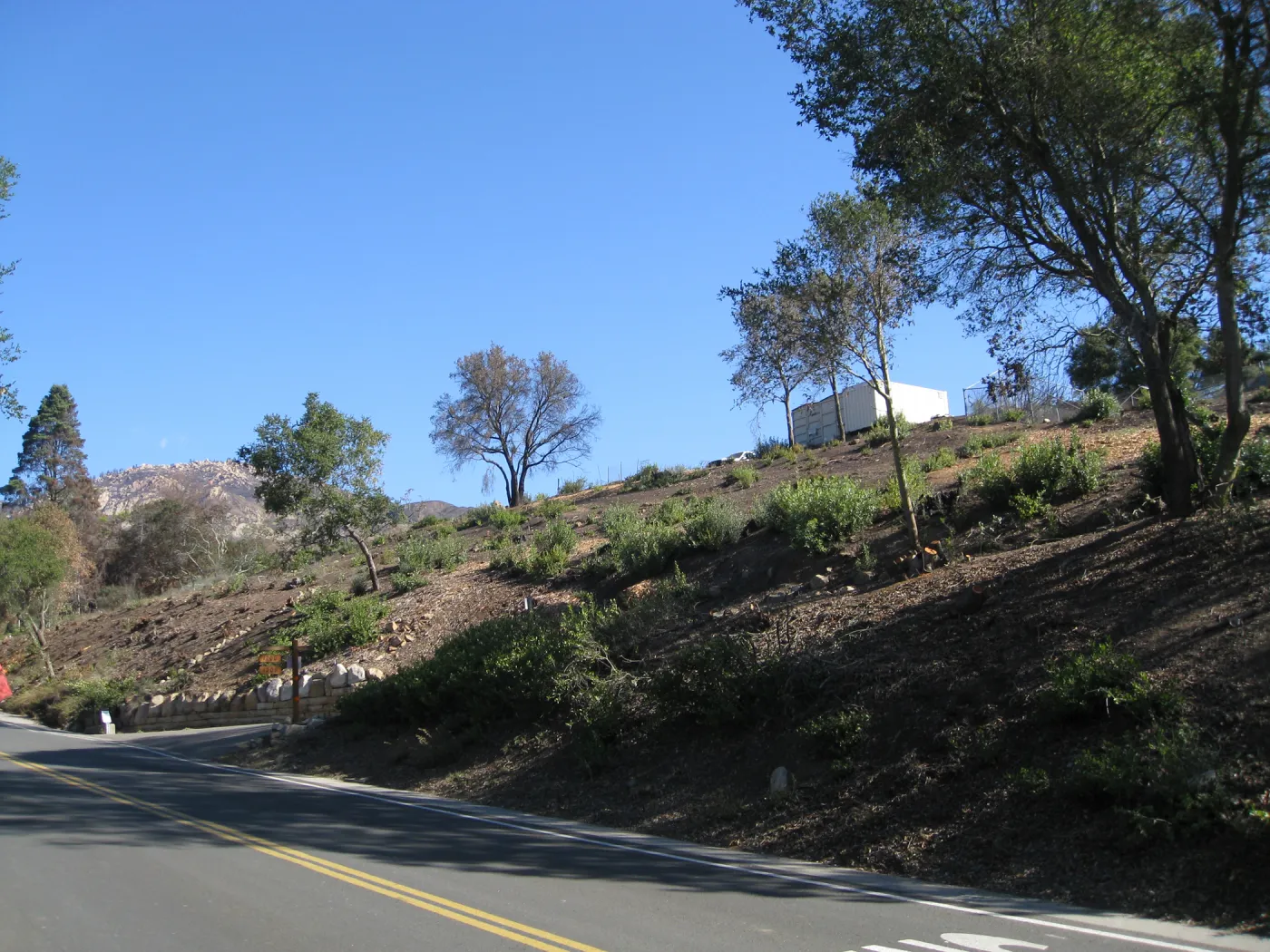 Clearing along Mission Canyon Rd, nearing drive to Hort Unit