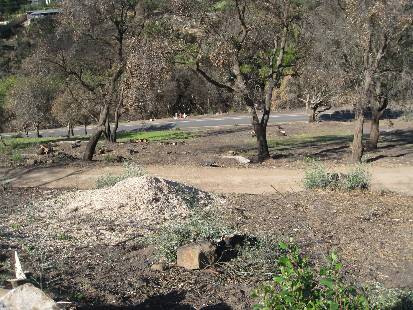 Clearing after Jesusita Fire