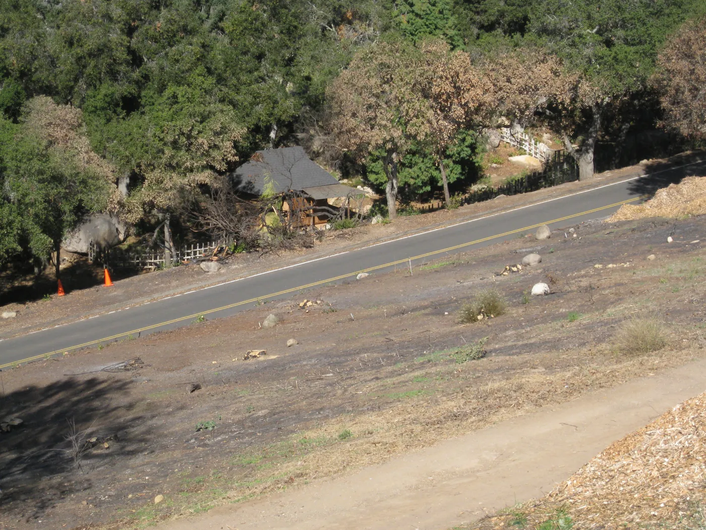 Clearing after Jesusita Fire, view of the Japanese Tea House