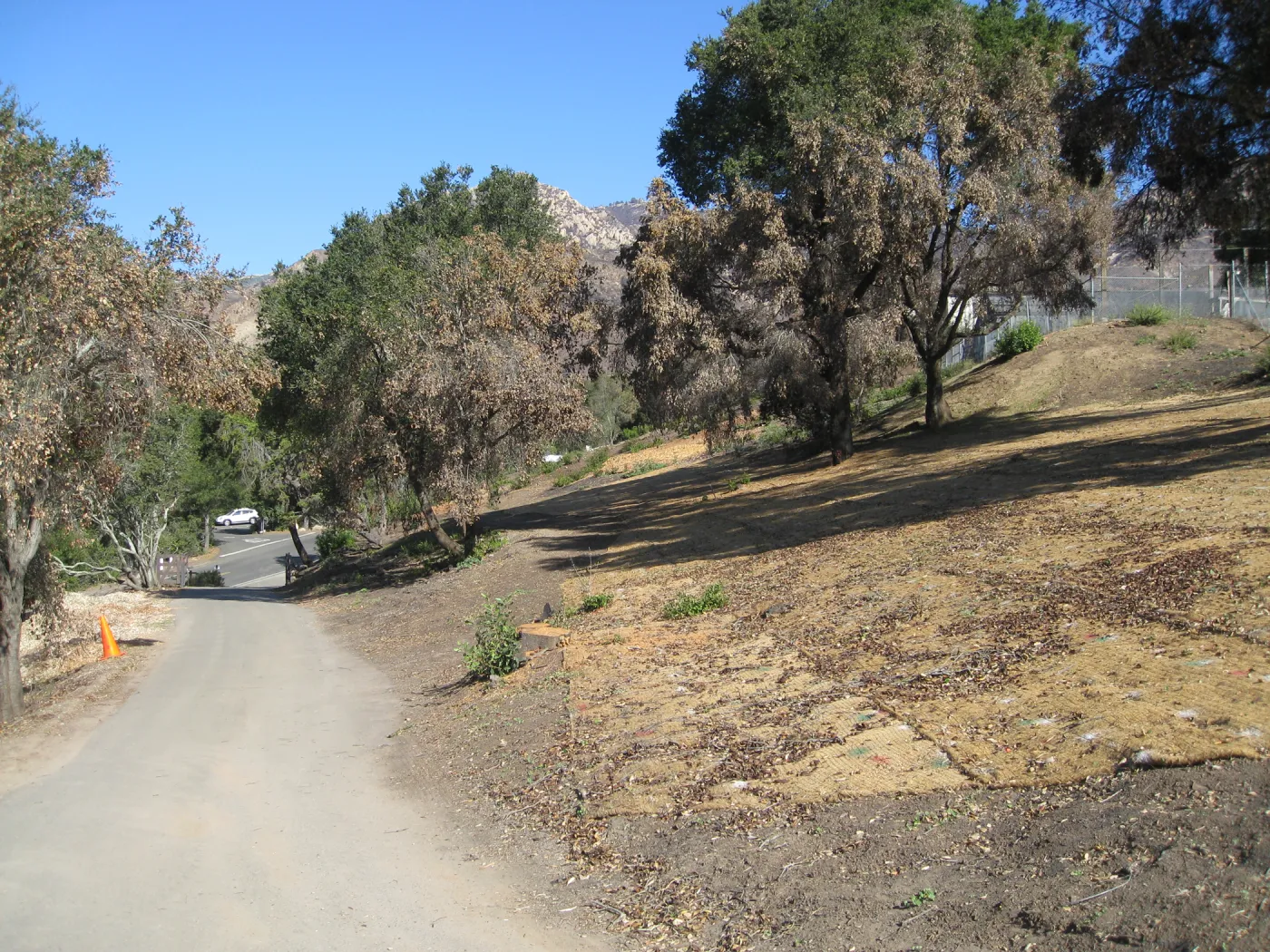 Clearing along drive to Hort unit after Jesusita Fire