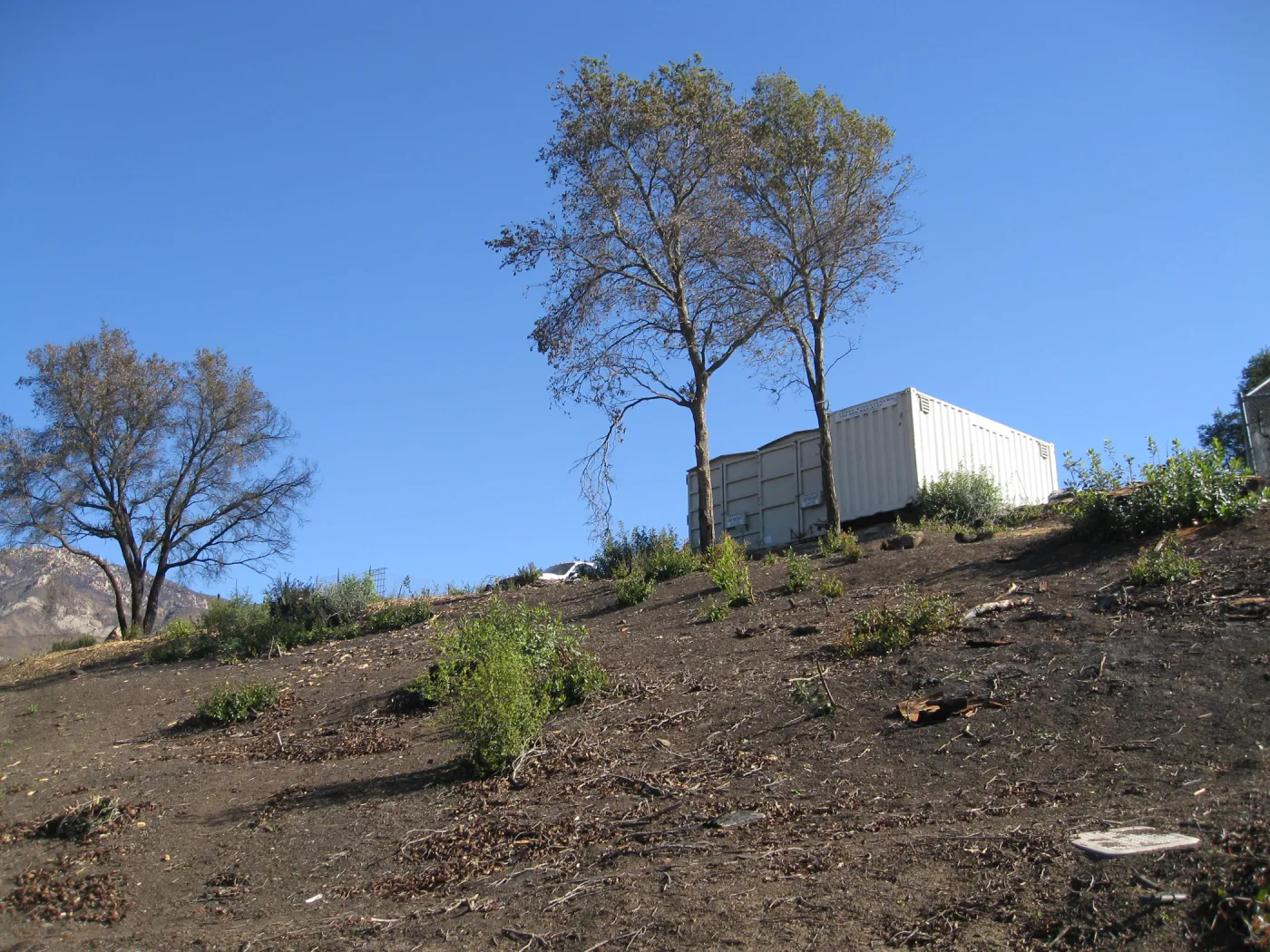 Cleared Cypress section after Jesusita Fire