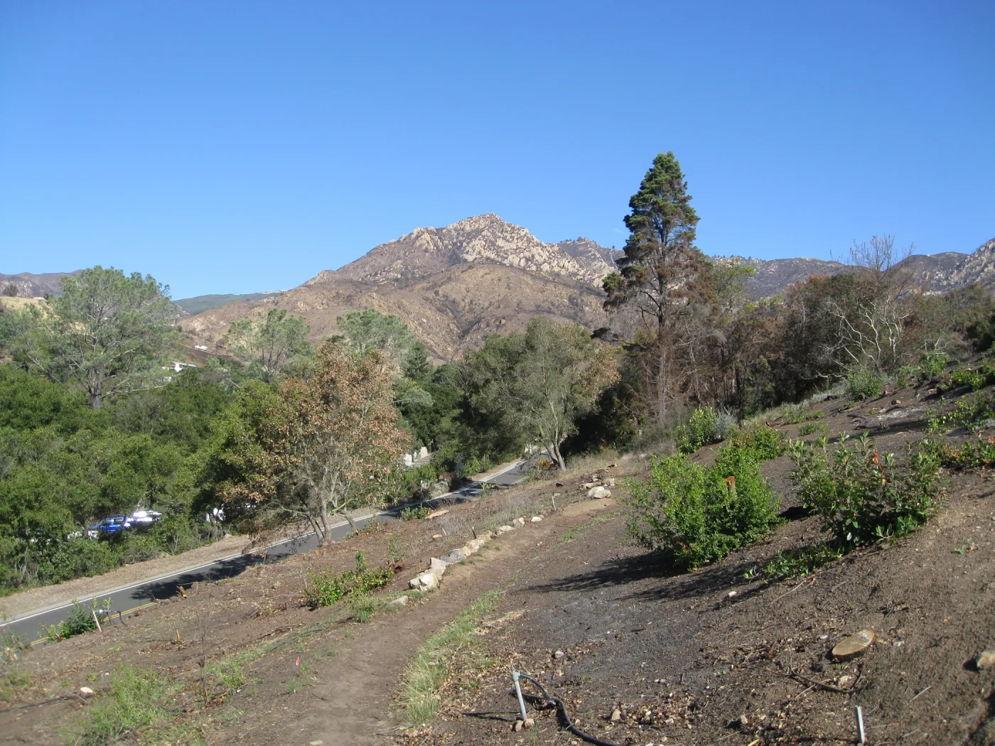 Clearing along Mission Canyon Rd after Jesusita Fire