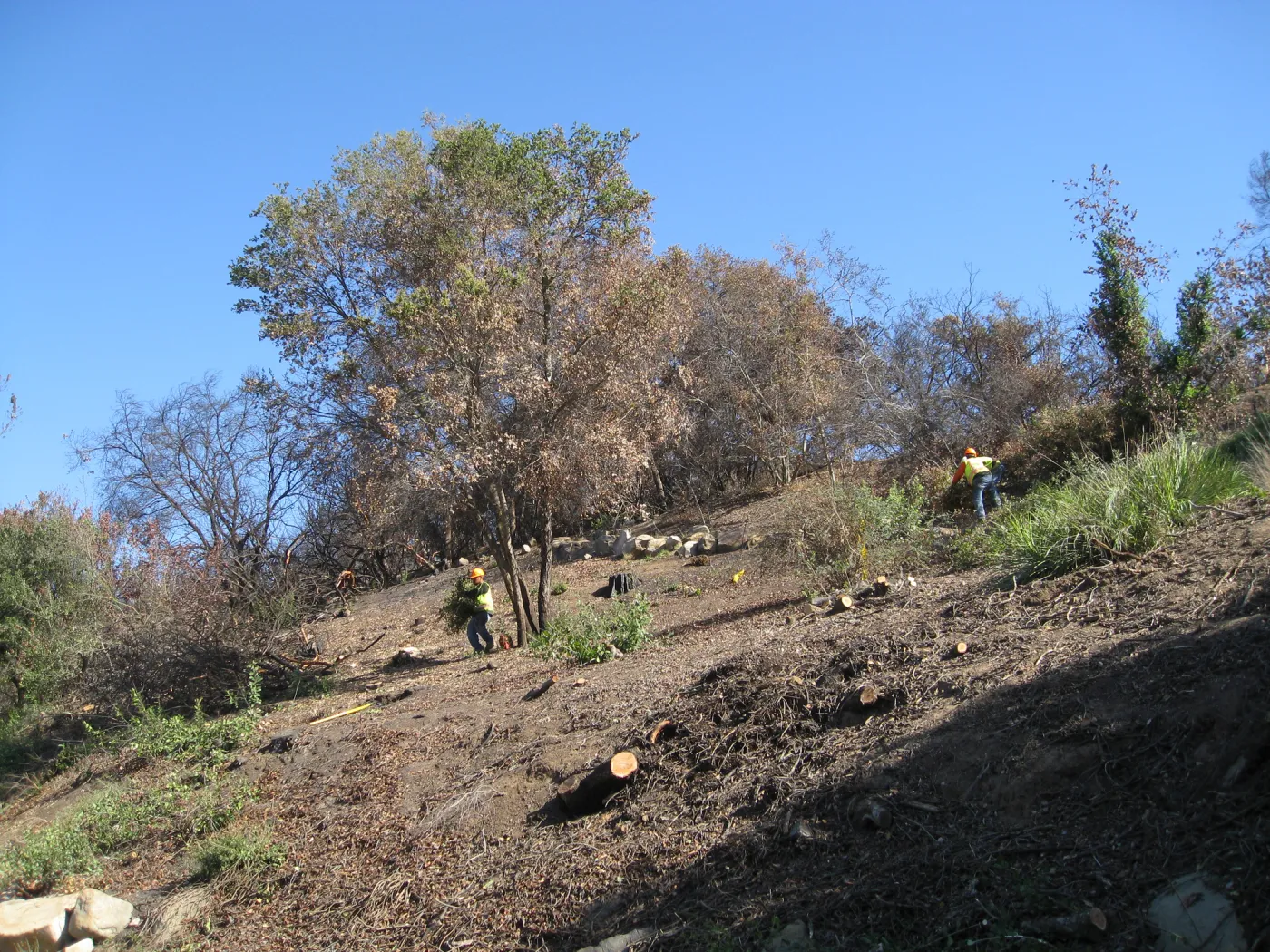 Clearing along Mission Canyon Rd after Jesusita Fire