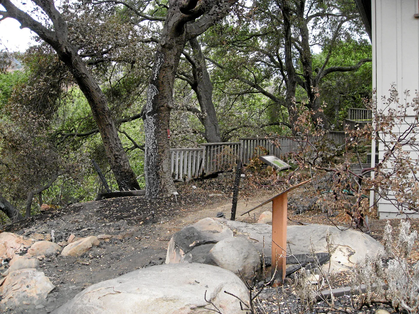 Site of the Home Demonstration Garden deck destroyed by the Jesusita Fire