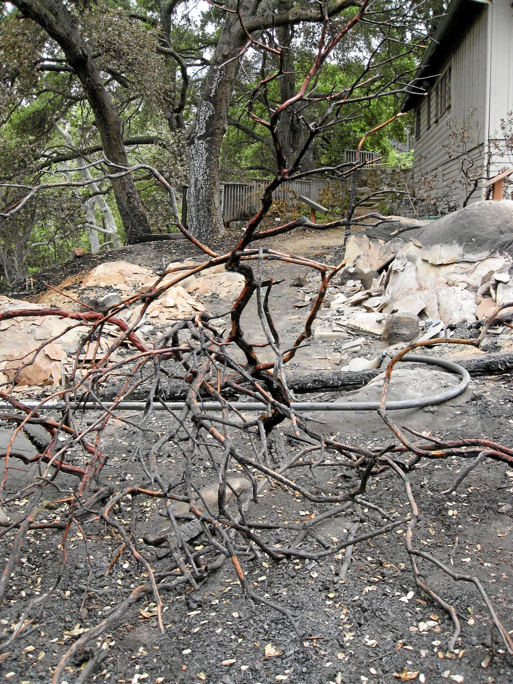 Site of the Home Demonstration Garden deck destroyed by the Jesusita Fire
