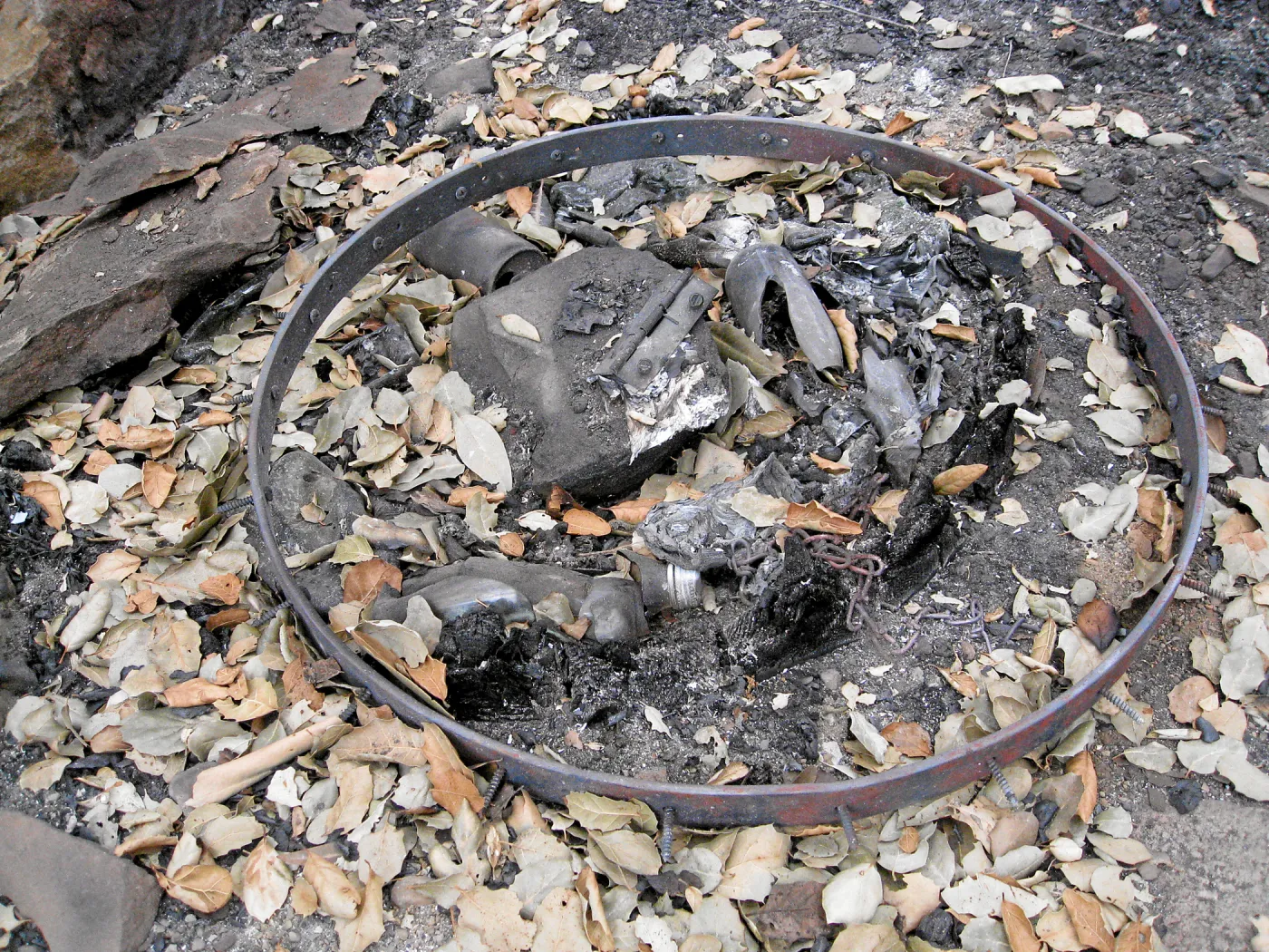 Santa Barbara Botanic Garden after the Jesusita Fire