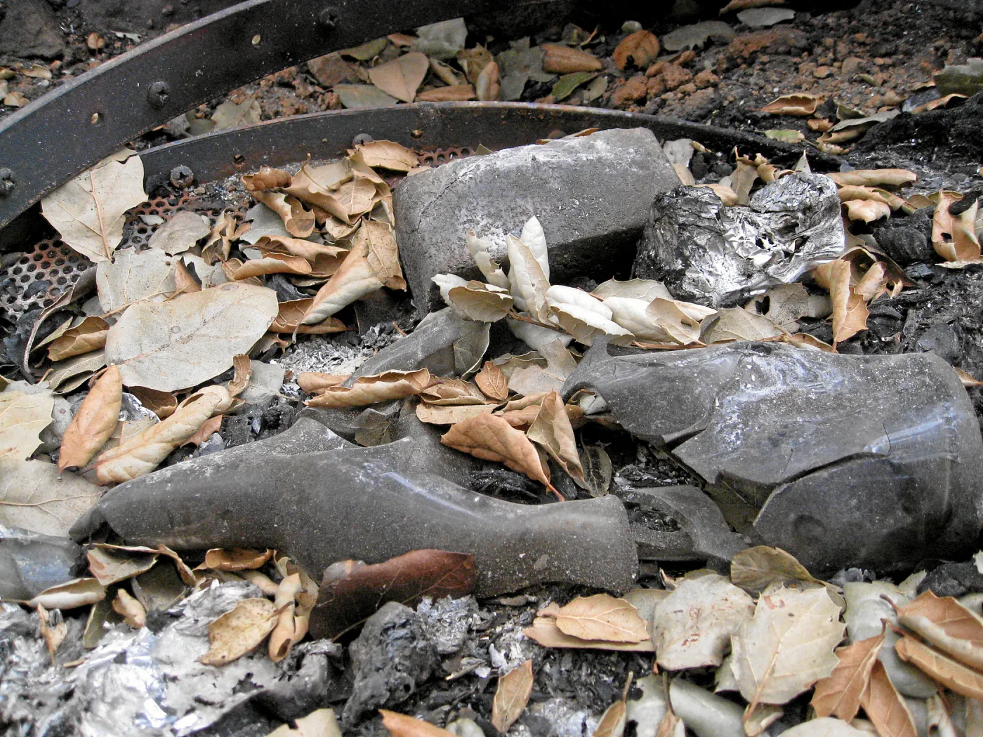 Santa Barbara Botanic Garden after the Jesusita Fire