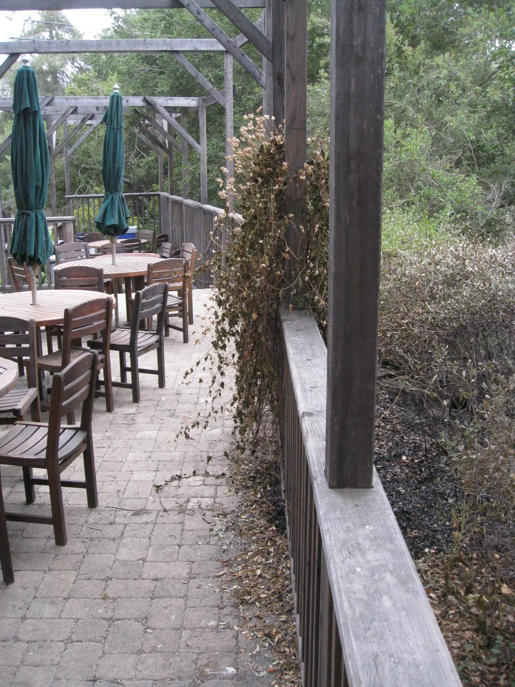 Garden Terrace after the Jesusita Fire