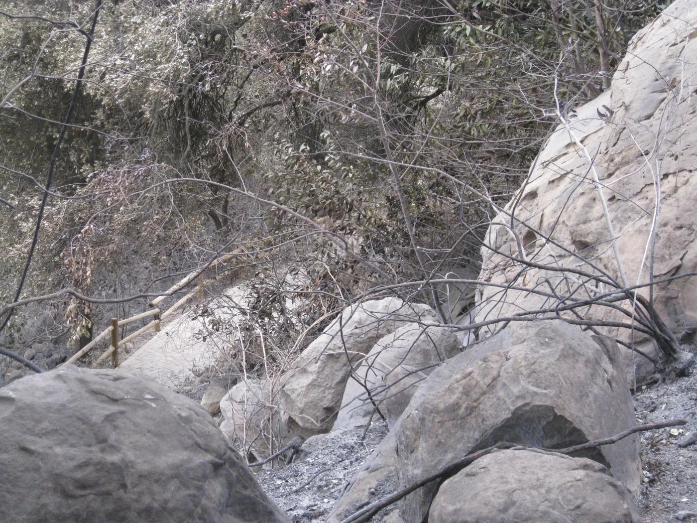 Looking down on Campbell trail after the Jesusita Fire