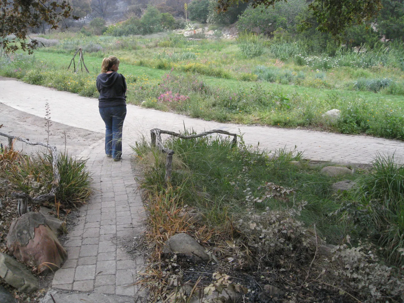 Tricia Wardlaw surveying damage after the Jesusita Fire