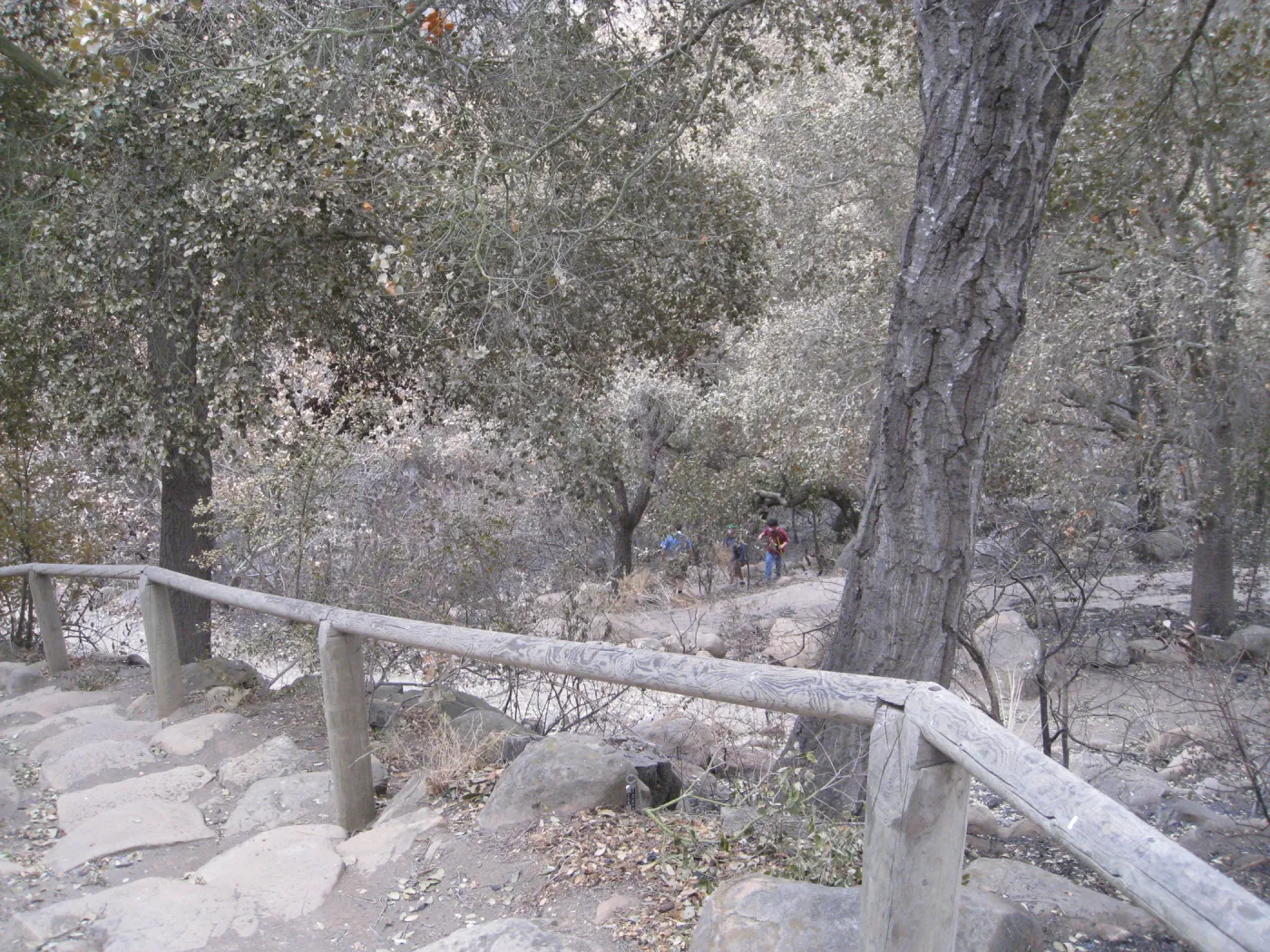 Campbell Trail after the Jesusita Fire