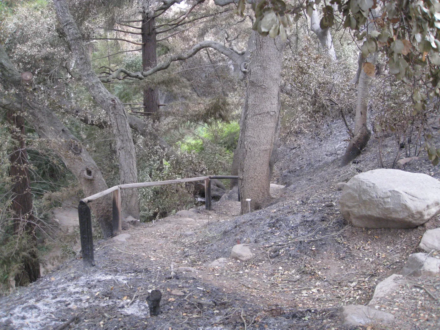 Top of the Indian Steps after the Jesusita Fire