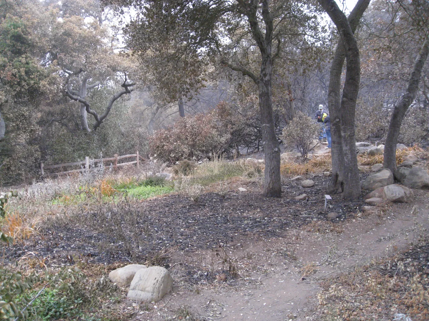 Meadow View after the Jesusita Fire