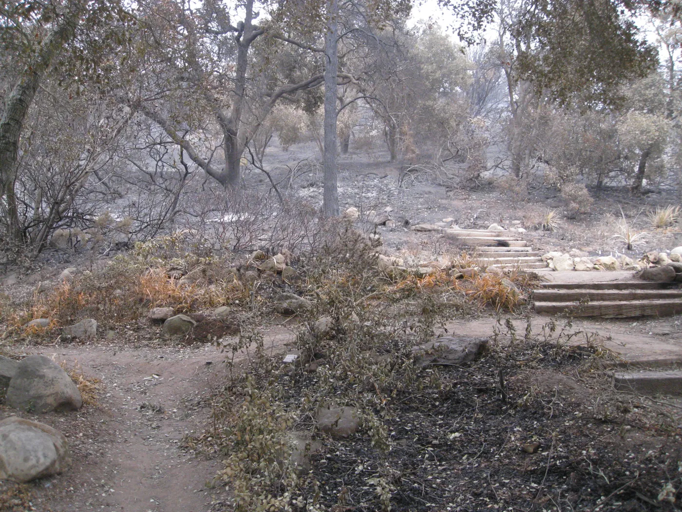 Meadow View after the Jesusita Fire