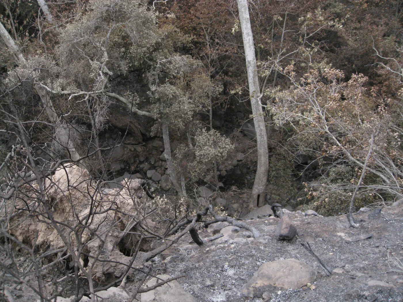 View to Mission Creek from Meadow Oaks after the Jesusita Fire