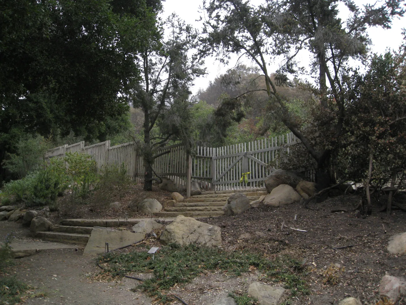 Clara Small Smith steps after the Jesusita Fire