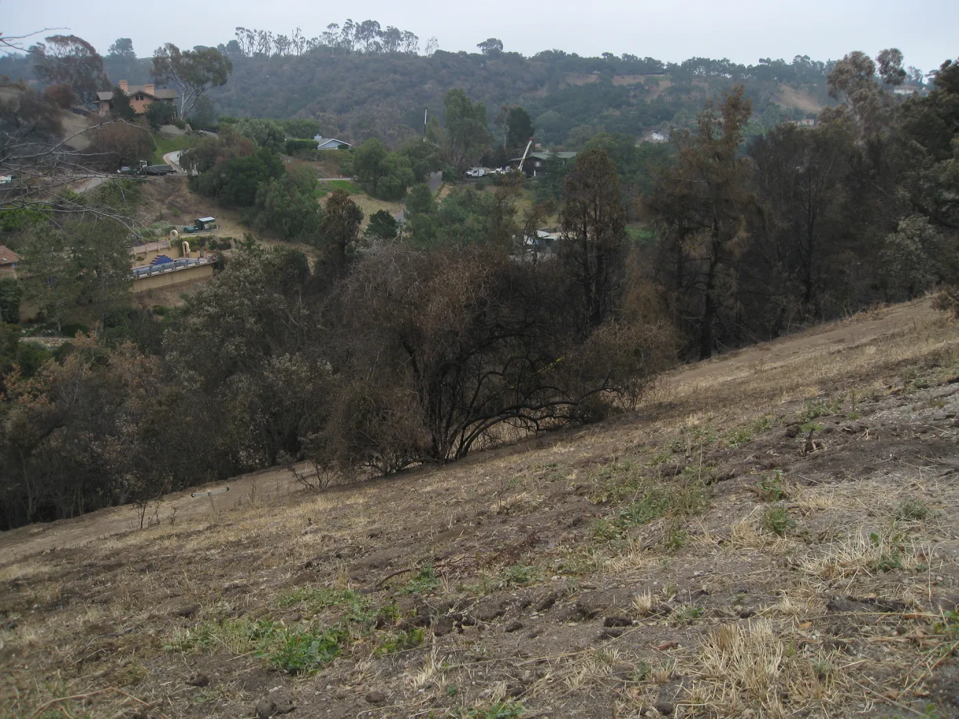 Slope east of Hort Unit after the Jesusita Fire