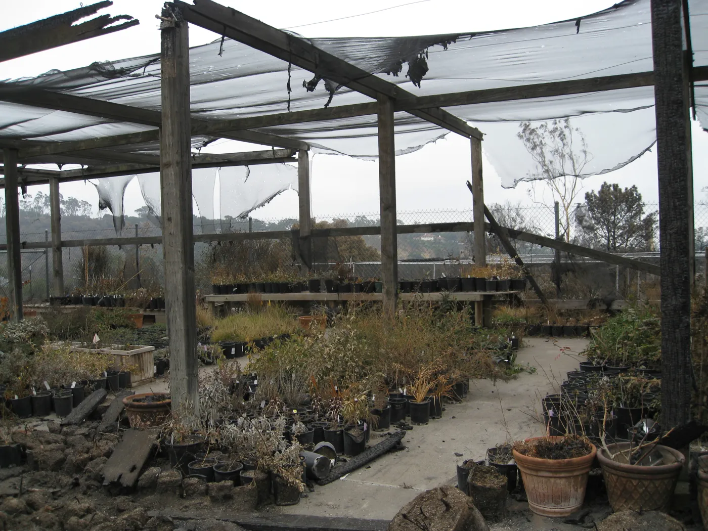 Santa Barbara Botanic Garden after the Jesusita Fire Hort Unit Shade Structure