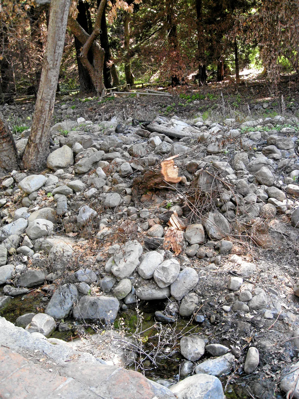 Mission Creek looking east from the dam after the Jesusita Fire