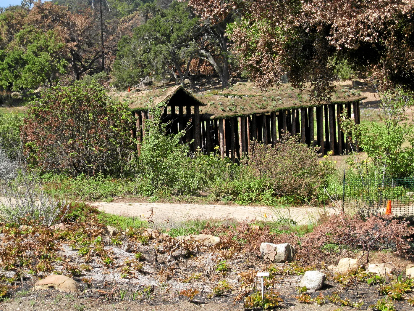 Herb Parker sculpture as seen from Meadow View, post Jesusita Fire