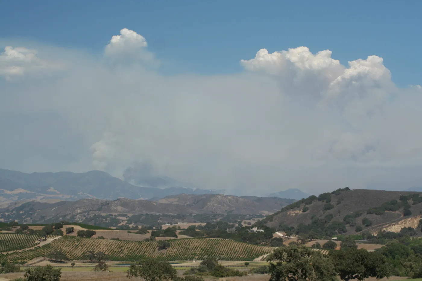 Zaca Fire