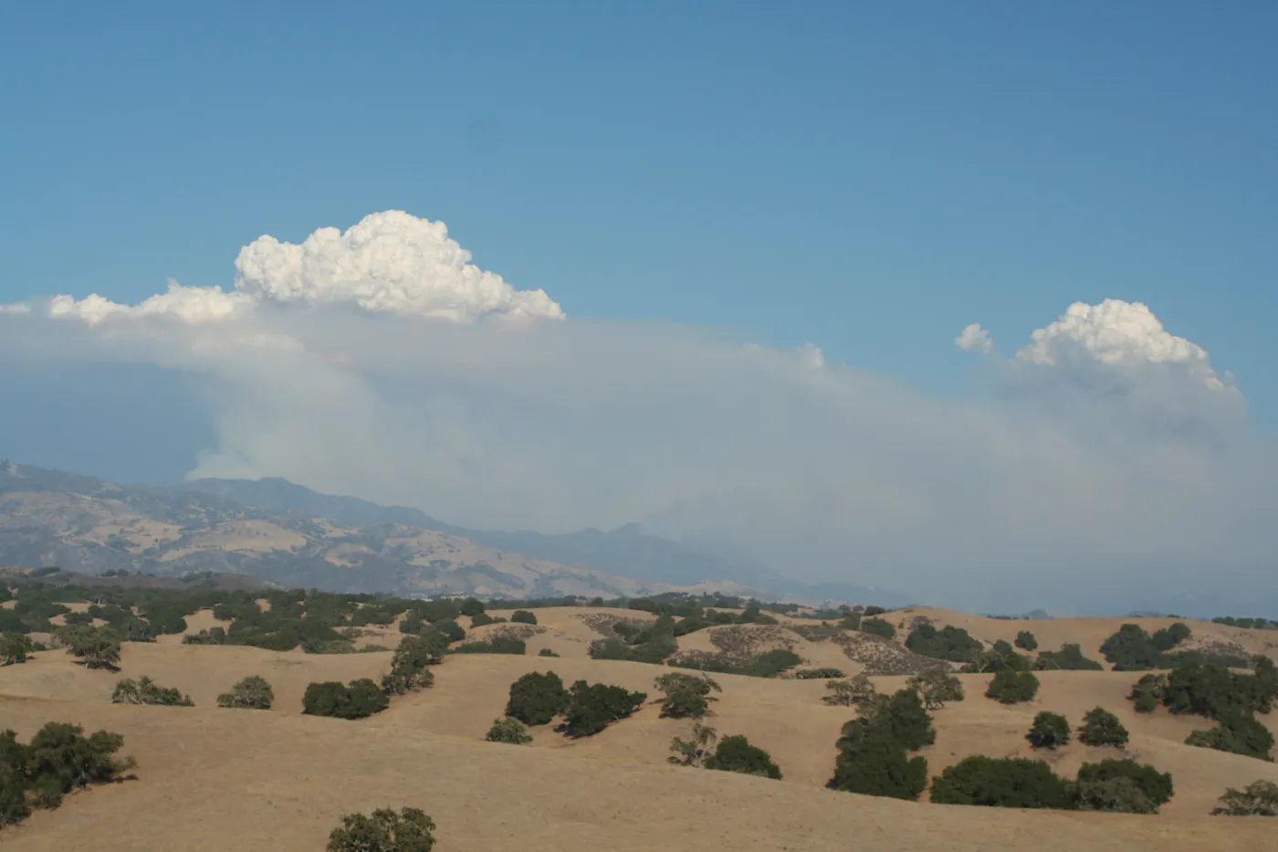 Zaca Fire