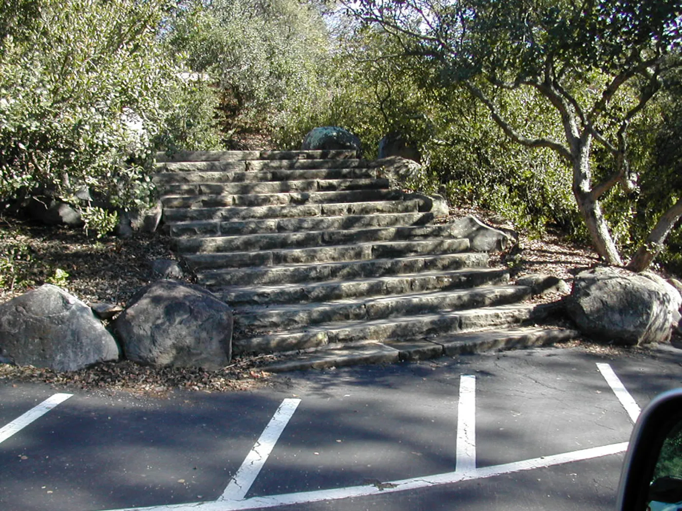 Upper portion of the Clara Small Smith steps (from parking lot to Mission Canyon Road)