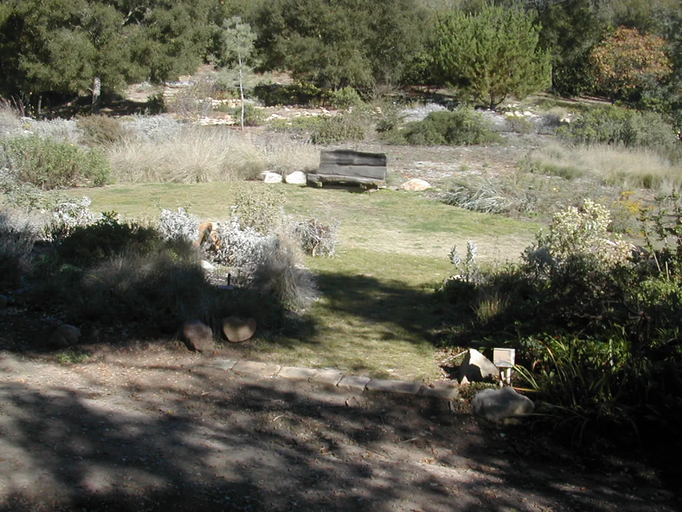 upper Meadow, Meadow lawn, wood bench, Meadow View 