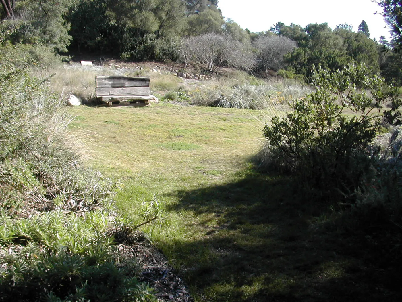 upper Meadow, Meadow lawn, wood bench