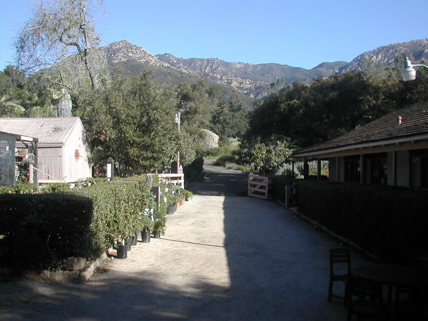 SBBG Courtyard, view to the mountains