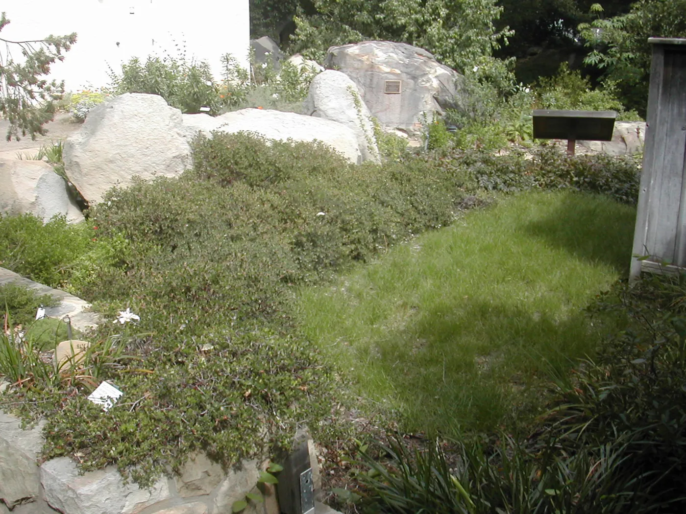 front lawn, Cottage, Home Demonstration Garden