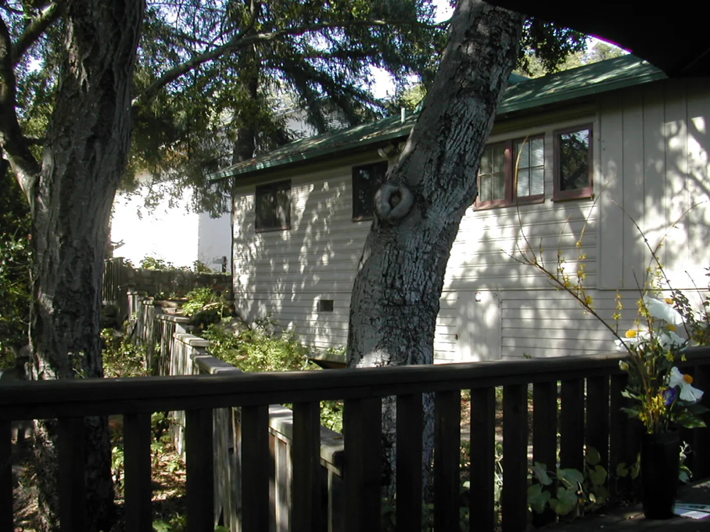 West side of the cottage