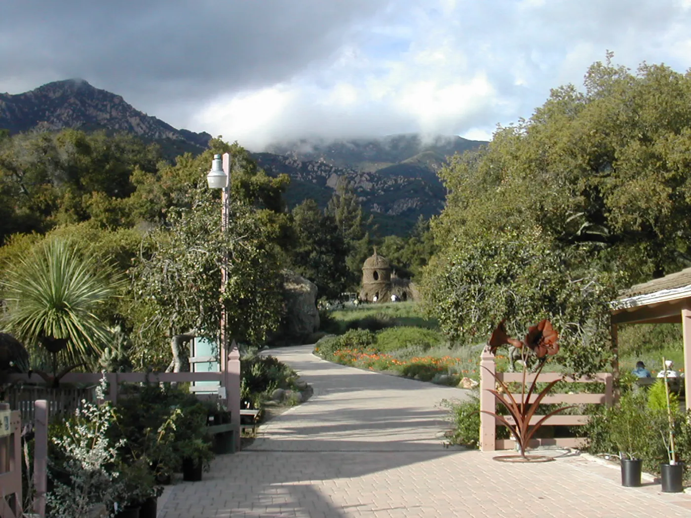 Courtyard looking north to Toad Hall