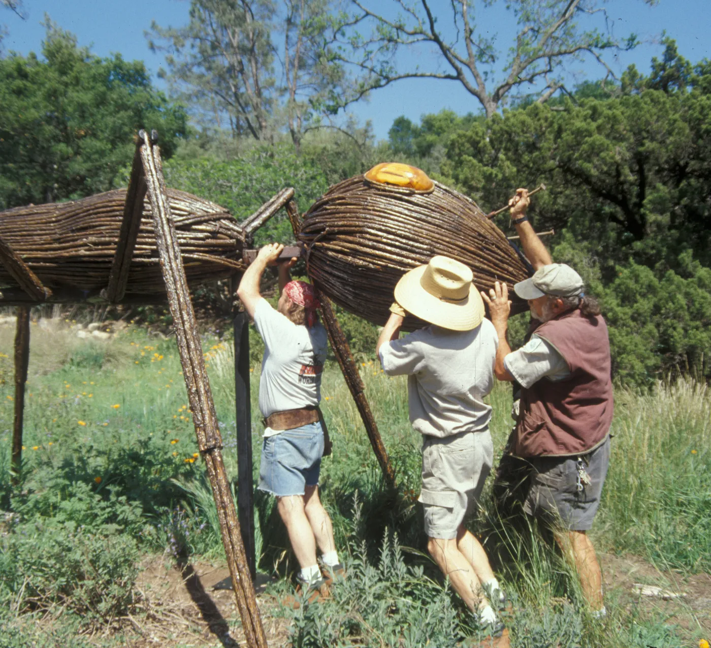 Dave Rogers, Jay Kendal and Geege Ostroff installing a giant ant in the Meadow, Big Bugs