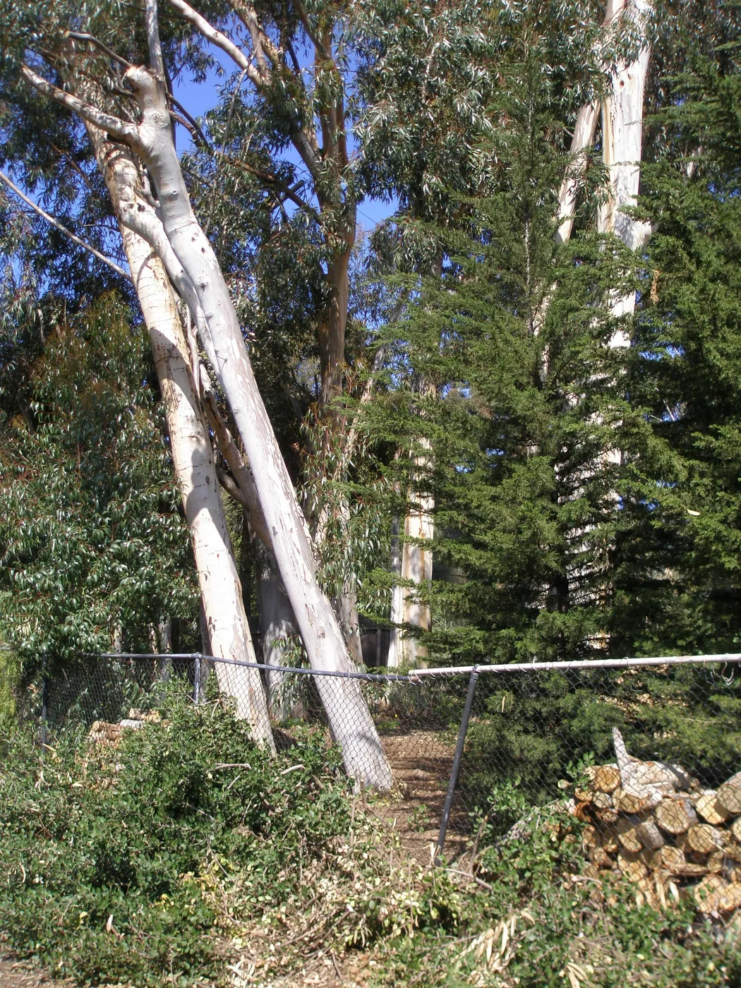 Property line fence at upper entrance on Tunnel Road