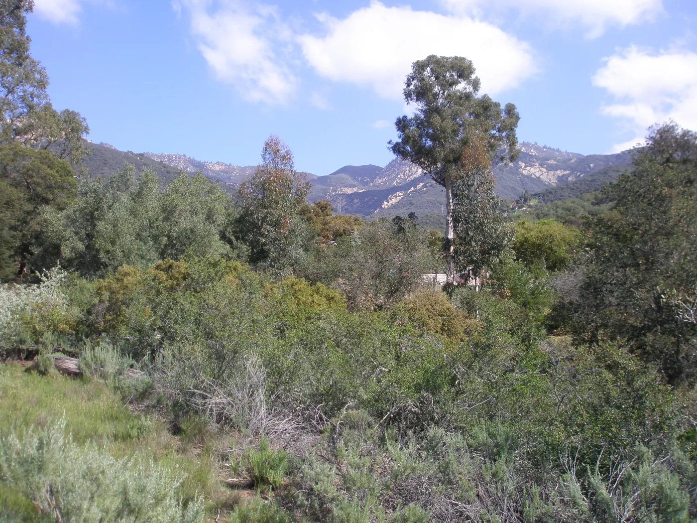 Upper entrance on Tunnel Road
