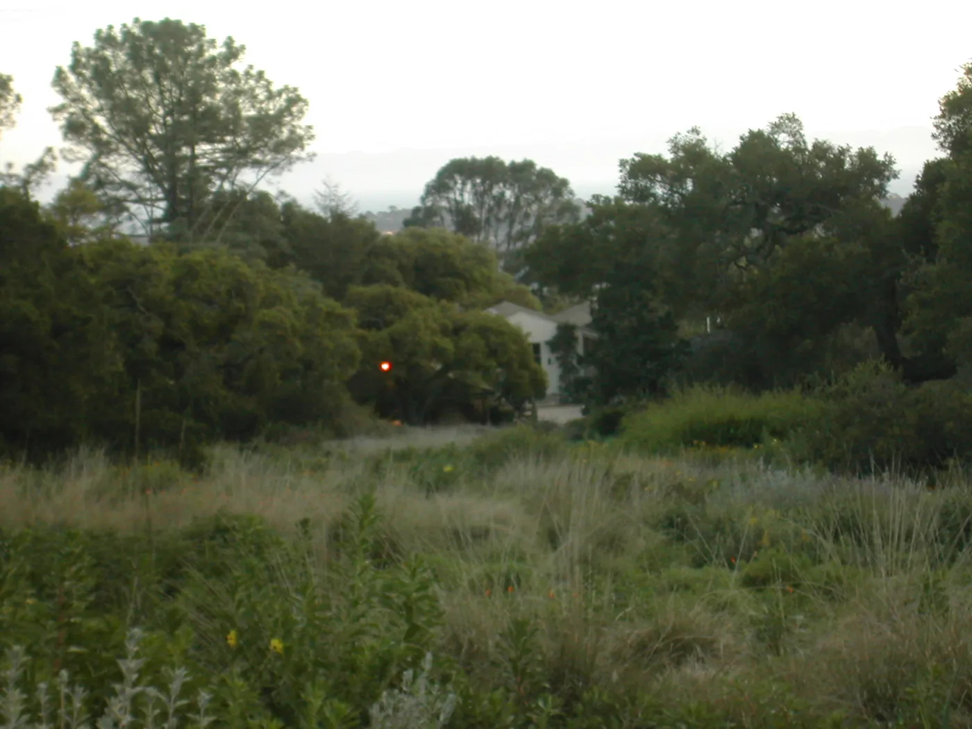 Meadow, viewing south to Blaksley Library