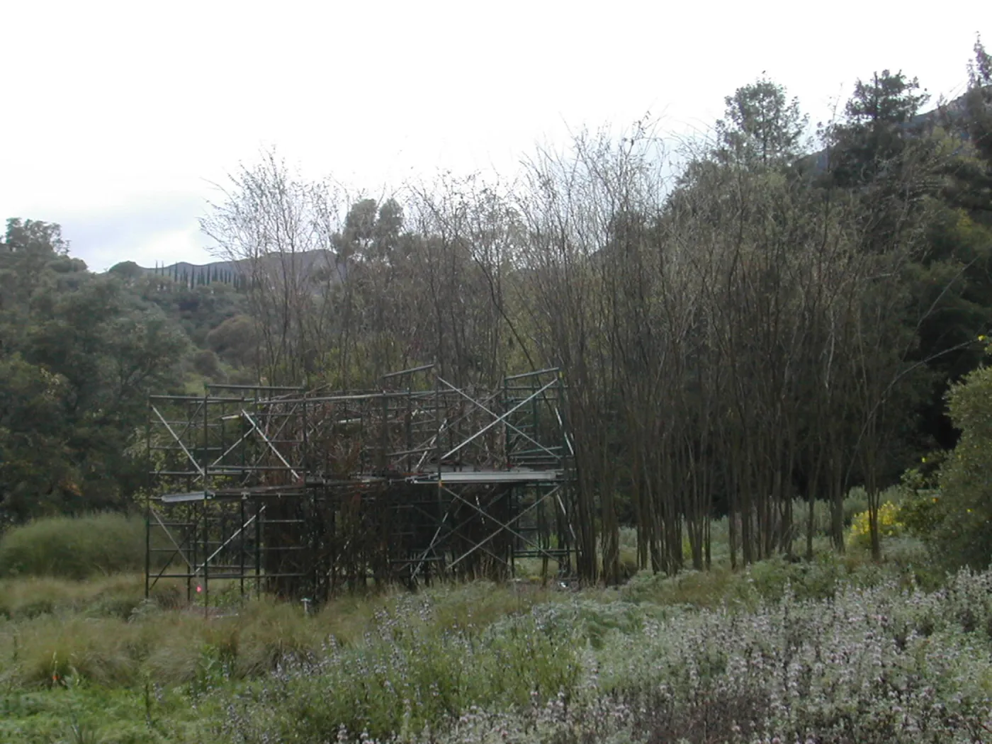Construction of Toad Hall by Patrick Dougherty