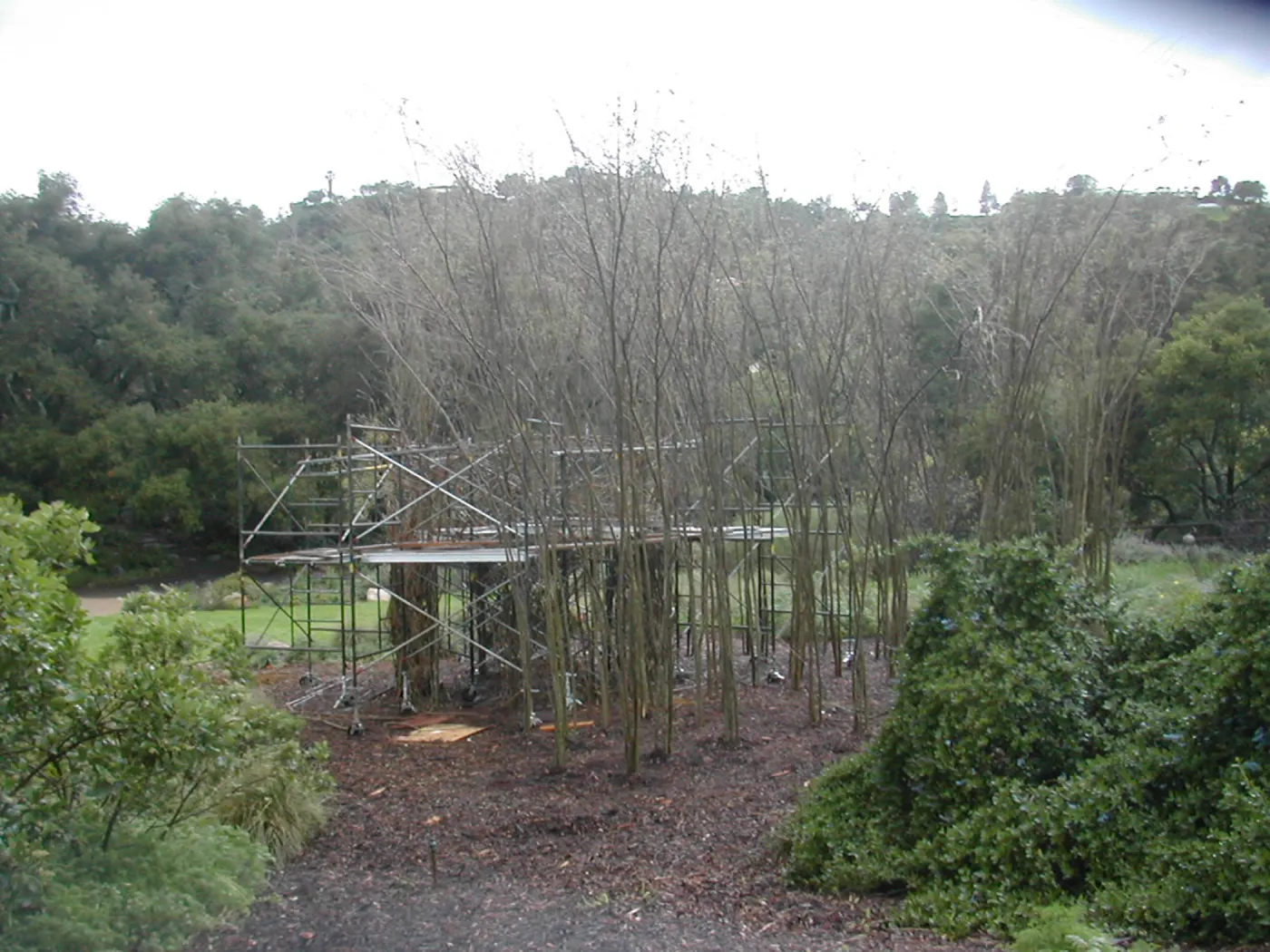 Construction of Toad Hall by Patrick Dougherty